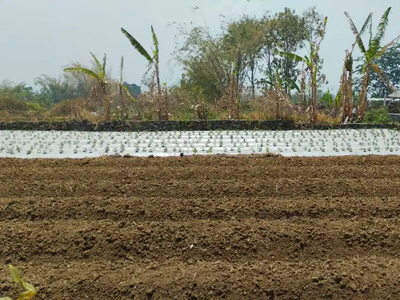 Tanah Cocok Untuk Kost dekat Kmpus UMM