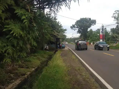 Tanah dekat SPBU dan 1 km dari Gerbang Tol Panimbang Jl.Raya Panimbang