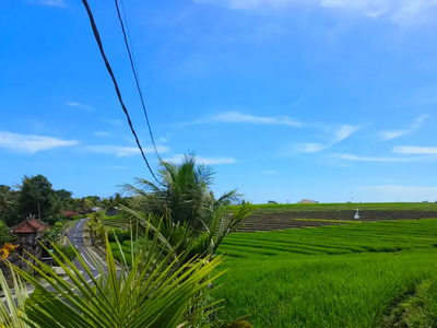 Tanah dengan view sawah terasering dekat pantai di tabanan bali