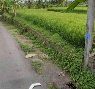 Tanah di cemagi mengwi badung