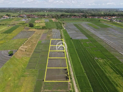 Tanah di Kelating Tabanan View Sawah, Laut & Gunung Batukaru