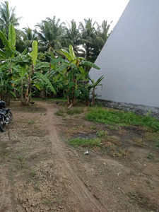 Tanah Kosong Sudah Pondasi Siap Bangun Dengan Pemandangan Sawah