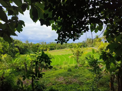 tanah view saqah dekat pantai di tabanan bali