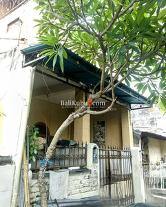 AMS-053.DPO Jual Rumah 3 KT di Jl Gn Batok Tegal Harum Denpasar Barat