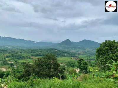 DIJUAL LAHAN PERKEBUNAN DI BOGOR