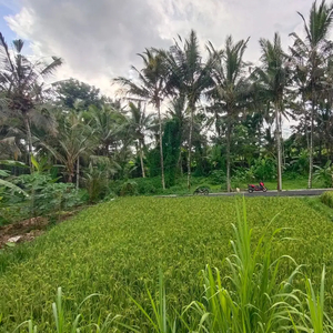 Dijual Lahan Premuim di Ubud View Los Sungai Sawah dan Lembah