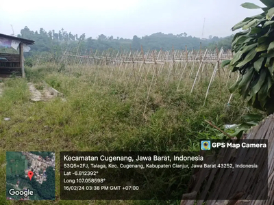 Dijual Murah Tanah Kebun di Kabupaten Cianjur