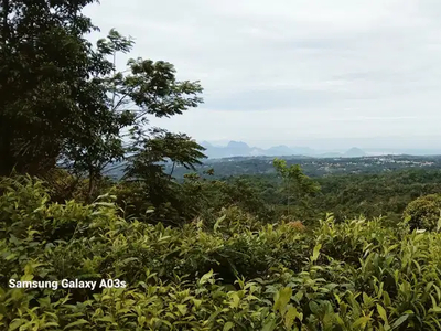 Dijual Murah Tanah Udara Dingin Pemandangan Bagus di Bojong Purwakarta