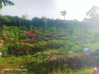 Dijual Tanah Dekat Apart SAMA View Cocok untuk Berkebun Kota Malang