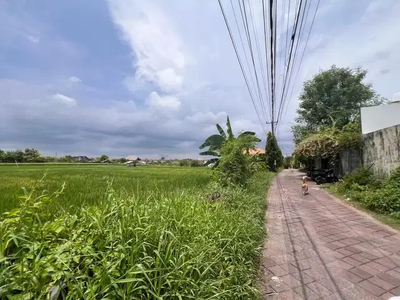 For Rent 5BR house in Canggu Bali