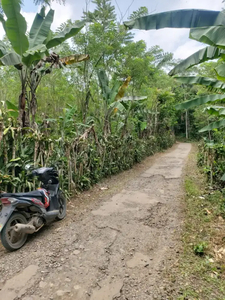 Lg Bu Dijual Cepat Murah lahan Parakan salak