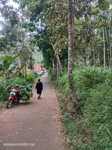 PEKARANGAN MURAH PINGGIR JALAN