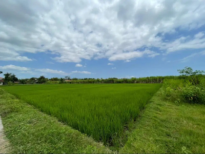 [Pemilik] “ MURAH Tanah Sawah 2857m2 di Bantul, Peluang Investasi”