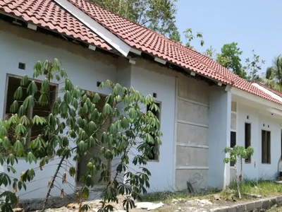 rumah asri krembangan wates kulon progo murah