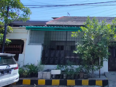 Rumah Dijual Sutorejo Utara Surabaya Timur