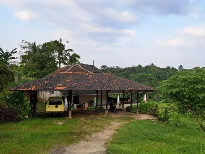 Rumah tepi sawah