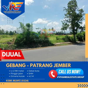 TANAH PINGGIR JALAN DI GEBANG JEMBER