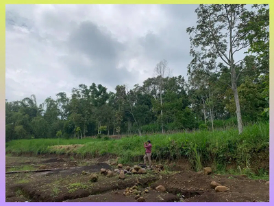 Tanah Villa Siap Bangun Dekat Jatim Park 2 Kota Batu