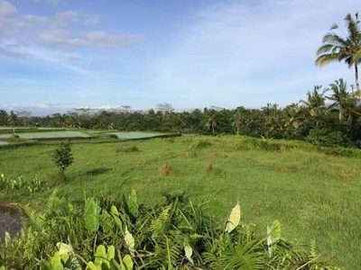 DIJUAL TANAH MURAH DI UBUD LUAS 4 HEKTAR