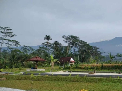 Tanah Investasi Rekreasi Keluarga Konsep Taman Buah & Kolam
