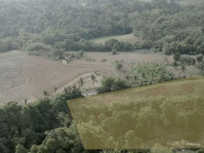 Tanah loss sungai dan Pantai di Klecung Tabanan