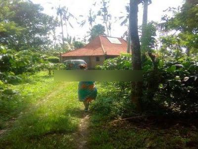Landed and Bungalow in Tabanan Bali, good condition and good for invesment.