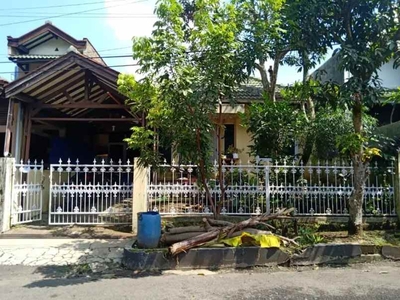 Rumah Komp Nusa Hijau Lok Strategis Row Jalan Lebar Jarang Ada