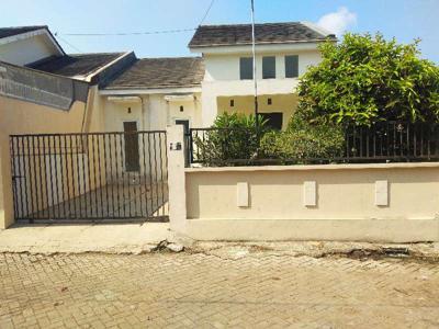 Di Jual Rumah Mojopahit Jember