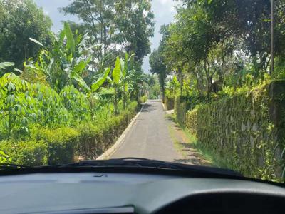 Jual Tanah- kebun Alpukat/Duren (bisa semua atau sebagian)