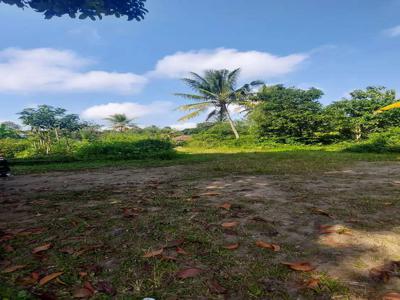 Jual tanah 9000m² dekat Prambanan