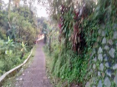lokasi Buat Villa di Gunung gelis bogor sumarekon