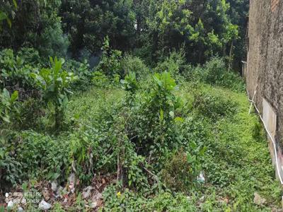 Tanah darat 800 ribu/m²nempel jalan Desa di Serang Baru