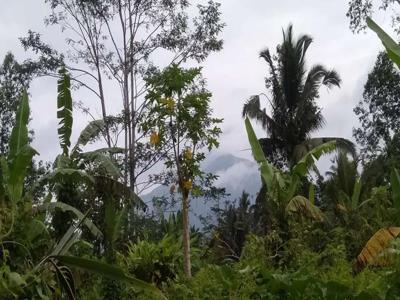 Tanah mura datar view gunung dan hutan di bali