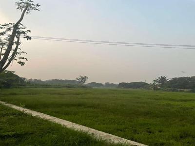 1 Hektar, Tanah Peribadi Sawah Murah Setrategis, Legok, Tangerang