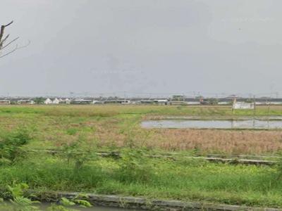 Tanah Untuk Bangun Perumahan Subsidi Pinggir Jalan Sukamulya Sukatani
