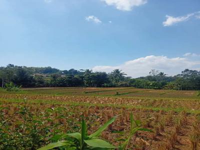 DIJUAL SAWAH CEPAT LIMBANGAN GARUT