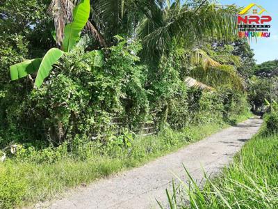 Dijual Tanah Kebun Prospek 20 Meter dari Jl. Lingkar Belakang SPBU Far