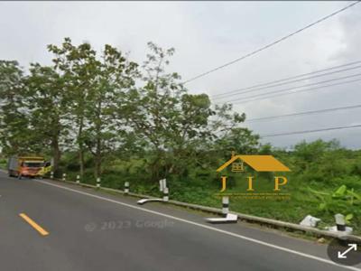 Disewakan tanah mangku jalan raya Borobudur cocok untuk Resto / kafe