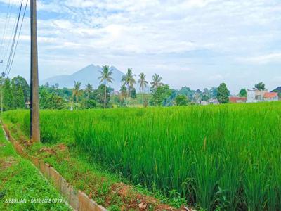 Kebun dengan view gunung salak dan gunung pangrango di megamendung