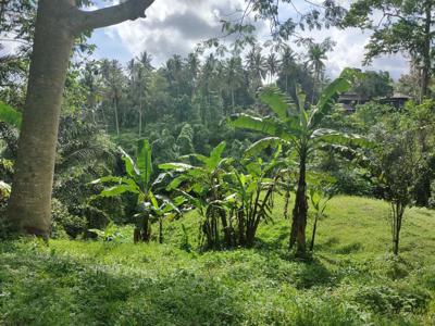 LOS SUNGAI & VIEW LEMBAH!! 16 Are di Kelabang Moding, 10 mnt ke Ubud