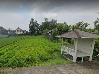 Tanah di Maguwoharjo, Area Kampus, Cocok Untuk Usaha/Hunian