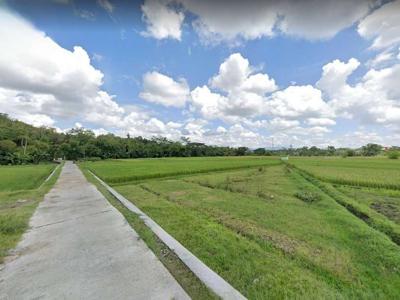 Tanah View Sawah SHM Pekarangan, Akses Mobil, Dekat Exit Tol Jogja