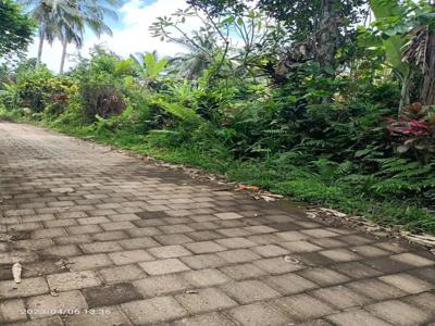 Tanah zona kuning view jungle 20 menit dari Central Ubud Bali