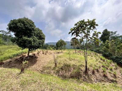 Jual Dan Investasi Tanah, Murah, Di Bogor Timur 100 m²