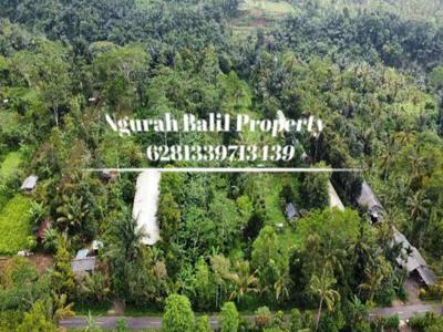 Land For Sale Murah Luas 8000 m2 Lingkungan Kebun Jeruk