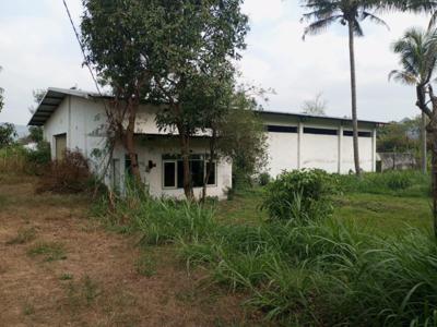 Murah Pol 2 jtaan Dijual Tanah Jalan Raya Sentul Purwodadi Pasuruan