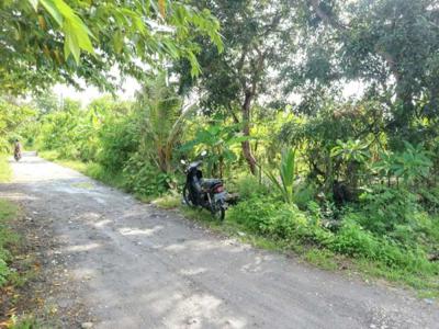 NICE LOCATION! Minimum 5 Are Subak Canggu, Close to Shortcut Berawa