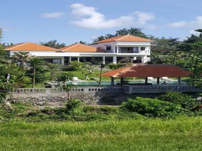 Villa Cantik View Sawah 3 Kamar Tidur Di Pererenan Canggu Bali