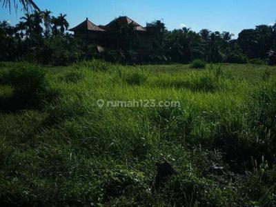 tanah cantik di lingkungan vila ubud