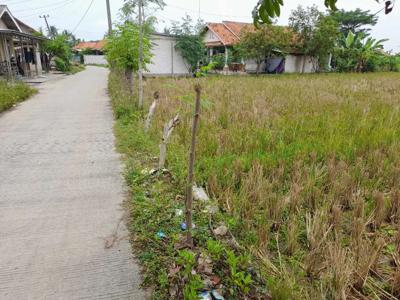 Jual Cepat Tanah Pinggir jalan Desa Cocok untuk Gudang